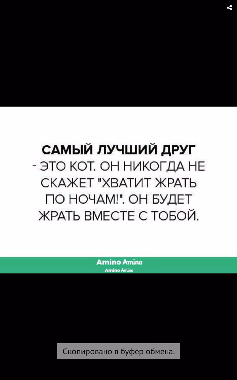 8decd707db1534c2e71cb8c374ef837b.jpg