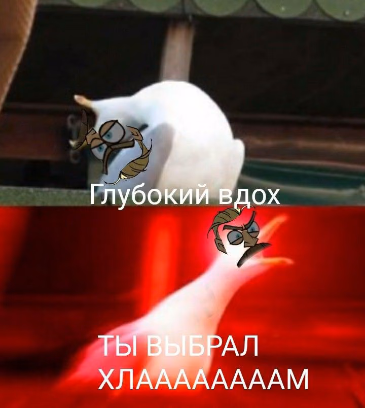 8e1424d6f7b4ded688f0ae26eea09868.avif