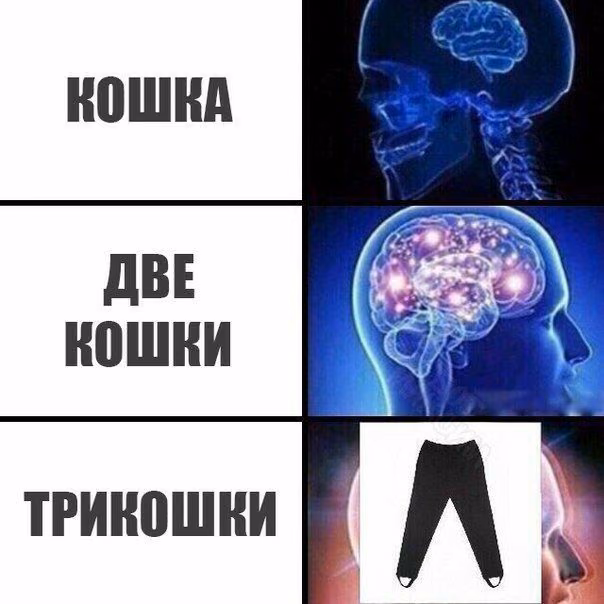 8e23d8740ecef6a38c34a8415536f9d3.jpg