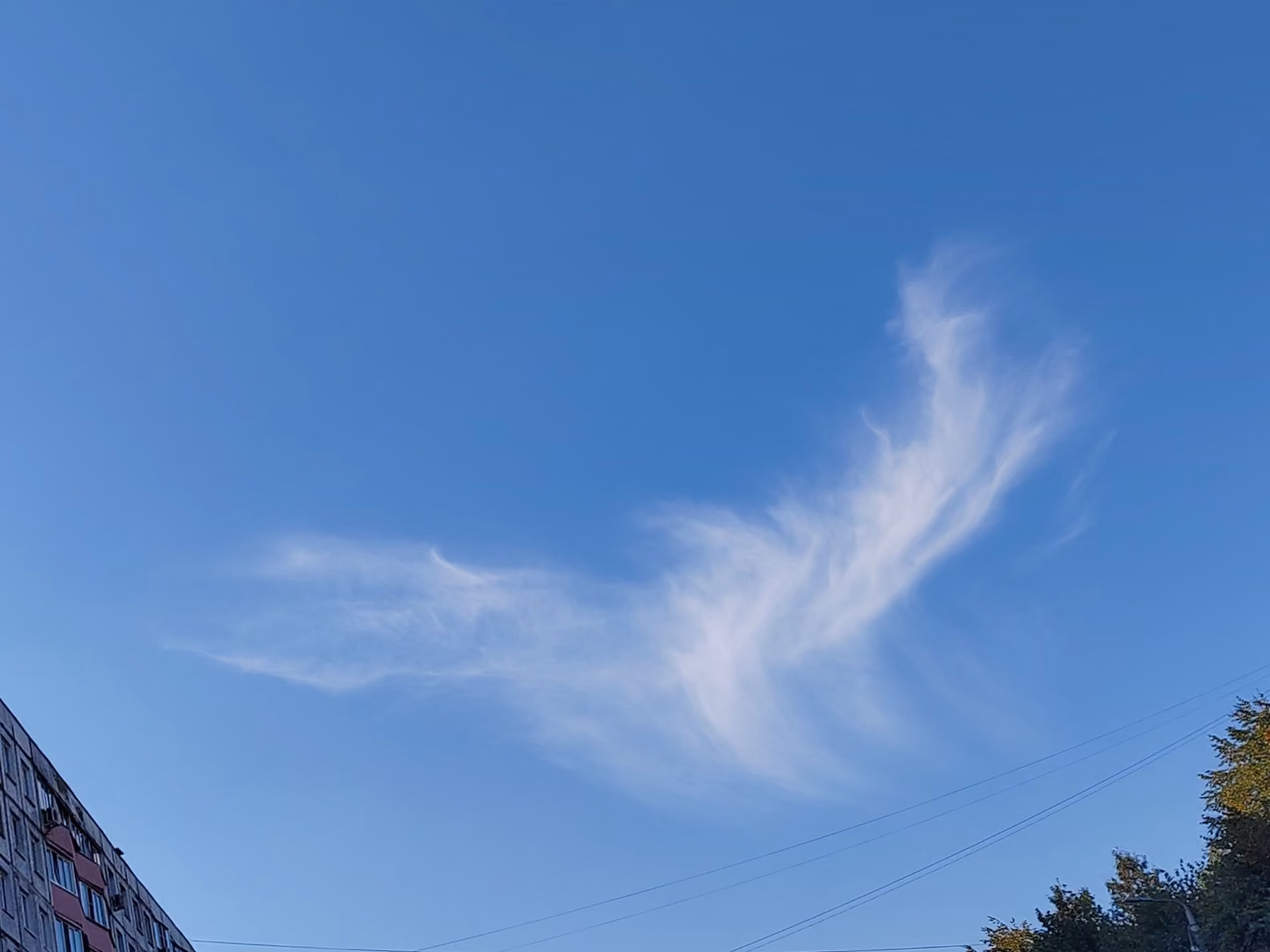 8e381ed329f796753aff262a1656f3d8.jpg