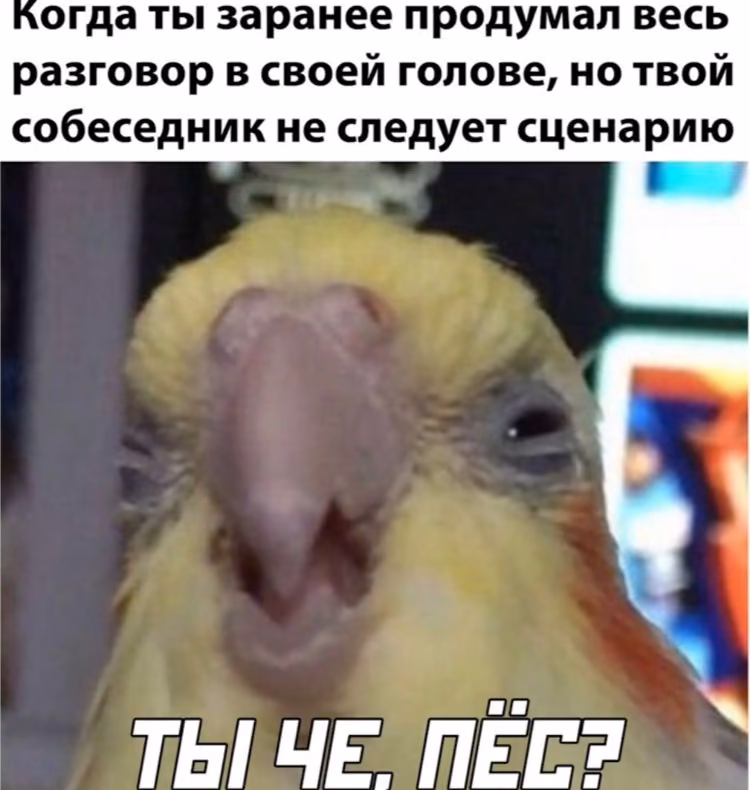 8e3e8bcf9f42e81de36300ef28ca179c.jpg