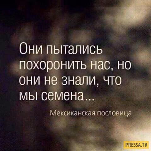 8e42d9b44dab3c38441facb946a9231d.jpg