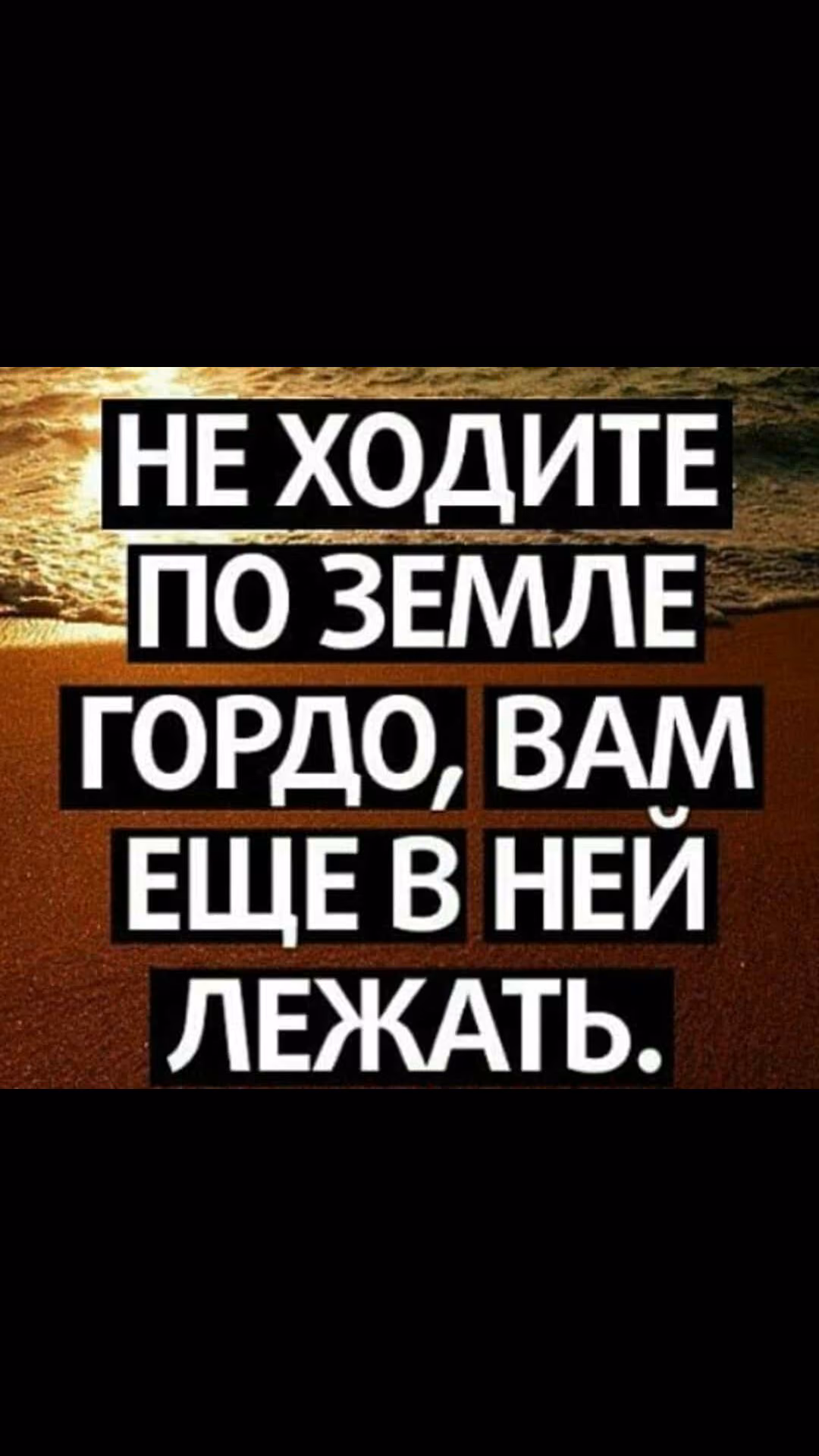 8e7073d1c26eaa4a448d95f14257fd4a.jpg