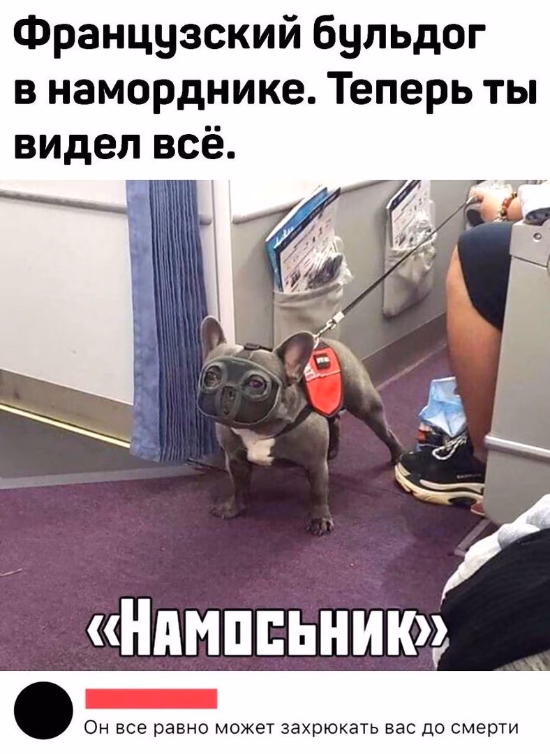 8e771423882ffc2e4f7ef439296f4924.jpg