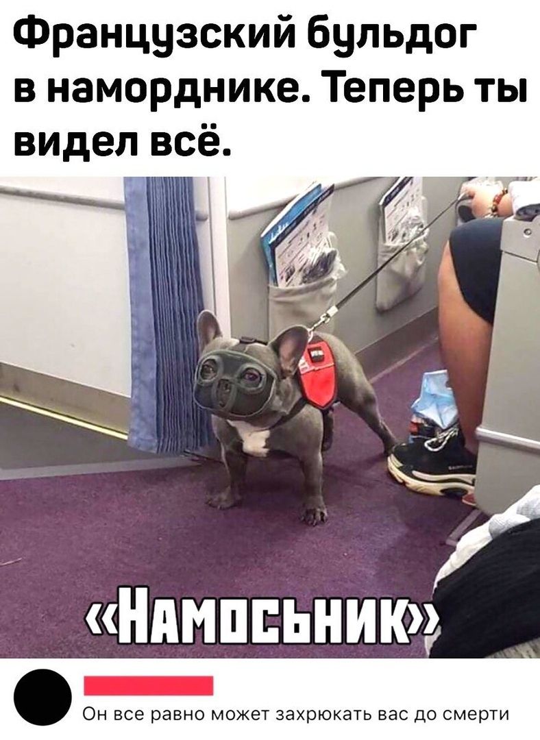 8e771423882ffc2e4f7ef439296f4924.jpg