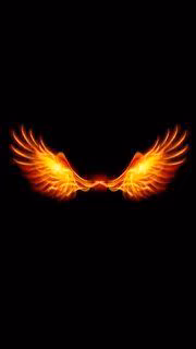 8e7c090ce3d973fceb9c457cf68d064d.avif