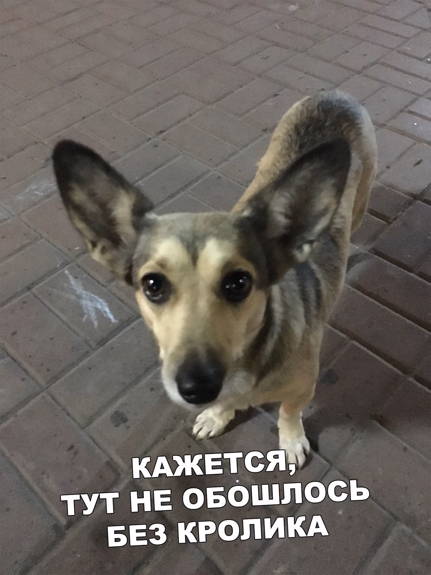 8e7f727df9cf15ee1edbbd778a3365a7.jpg