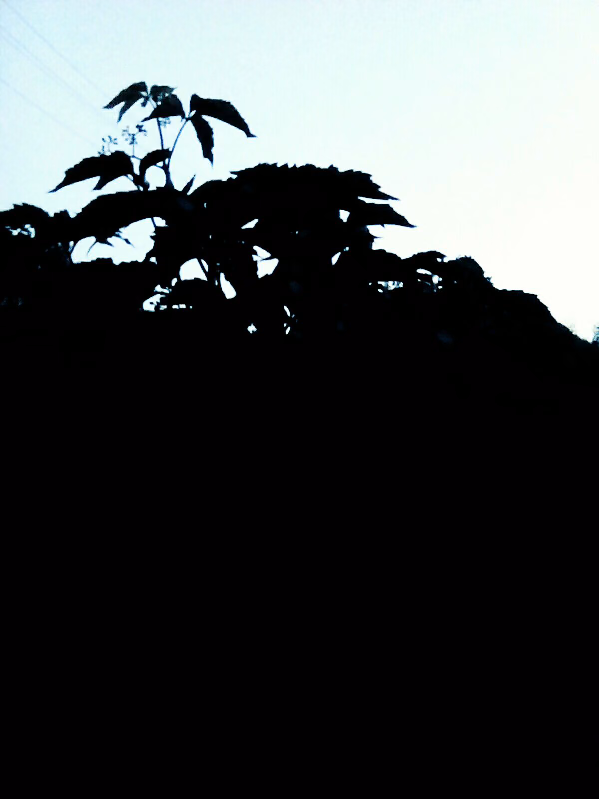 8e8a0b69a8bd7dc7bcd700fd97fa033b.jpg