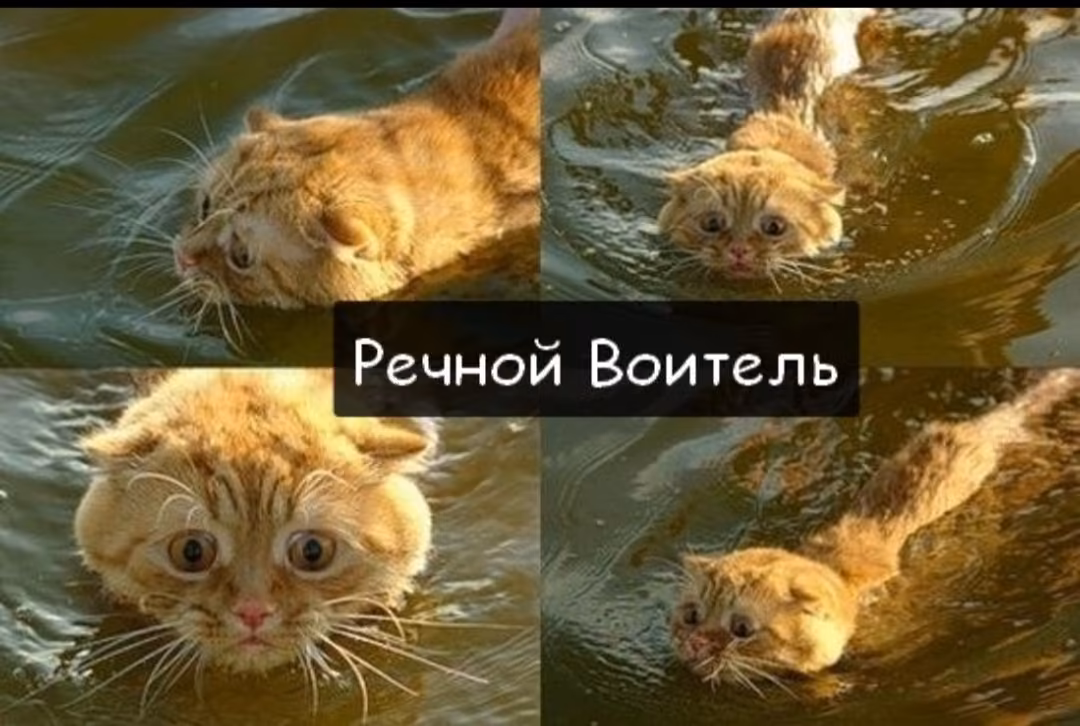8ea56e3b51331f9fddc7d8be0177b276.avif