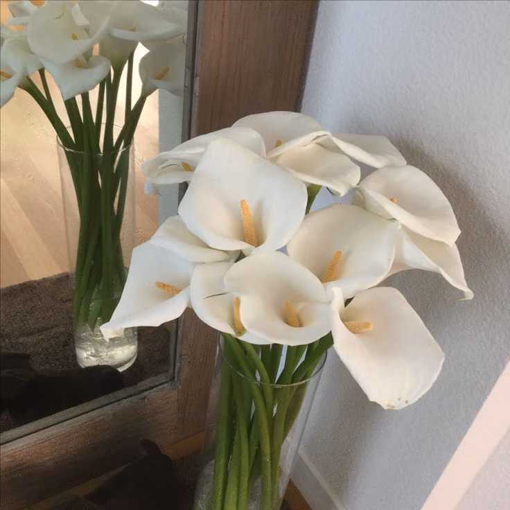 8eb767f7a373febe0b31d43b02a06dce.avif