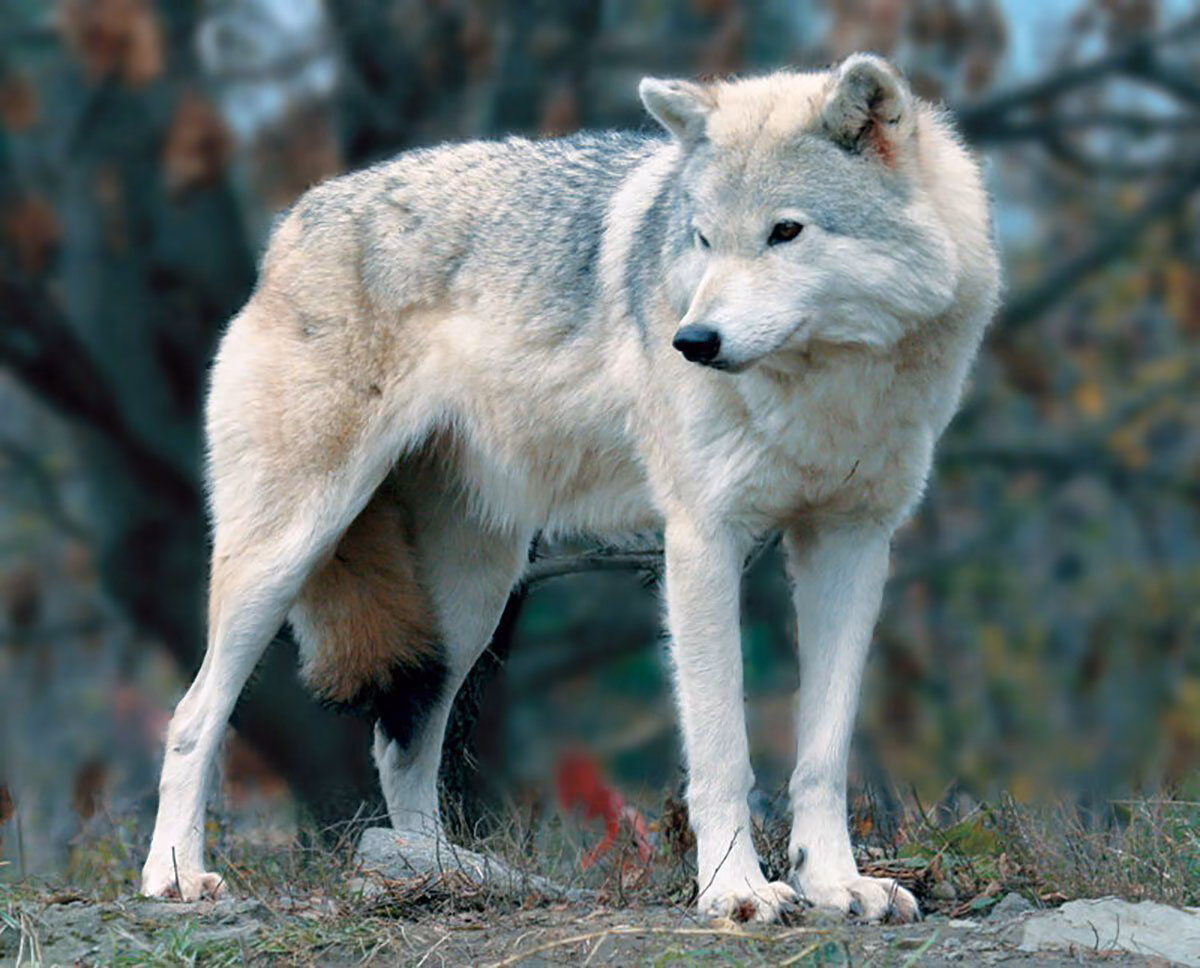 8ebf692c2728f00d2fa5f0e8c549a752.avif
