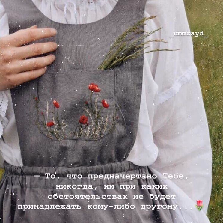 8ed074ba5f2c917df56f7c118beab8c0.avif