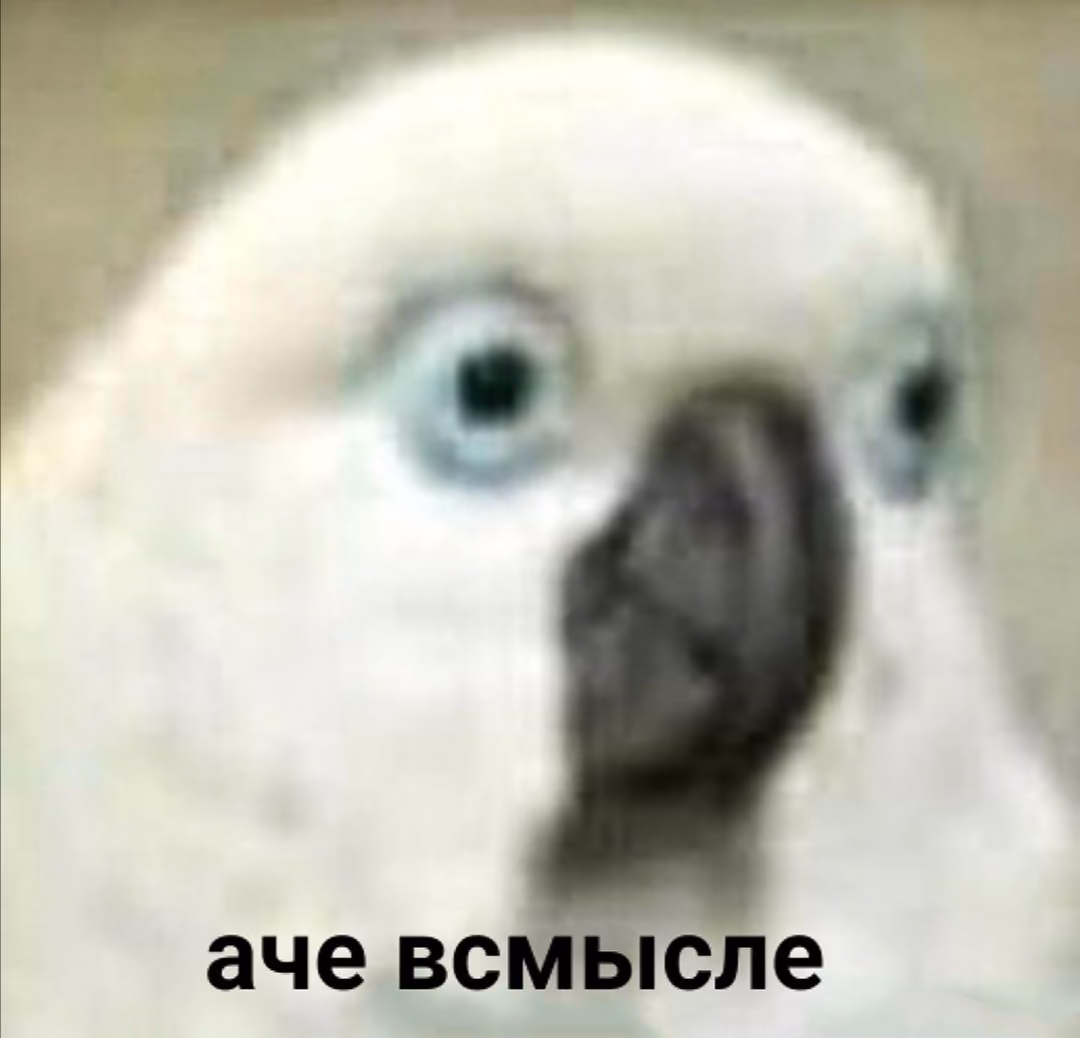 8ee37d3943245e36d7fdbab13f5bc45f.avif