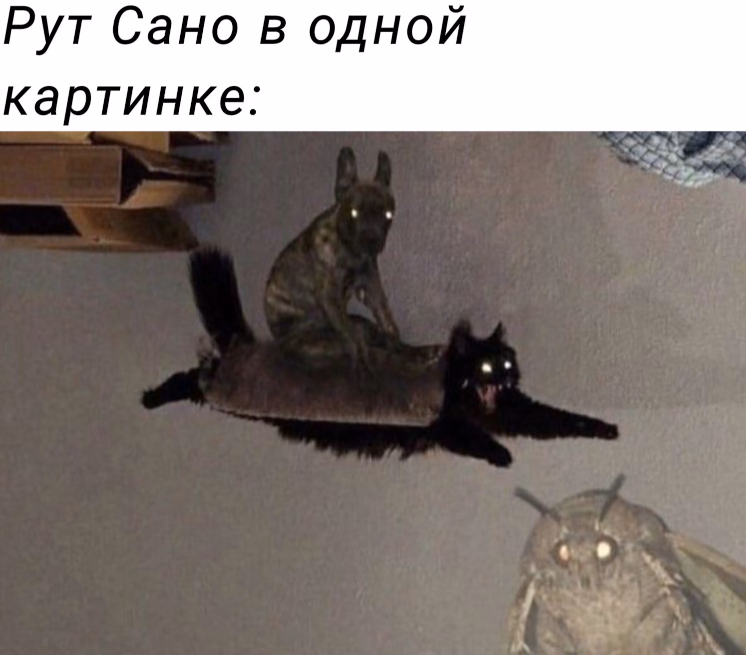8f03ab50da155bdf570469179e6376a7.avif