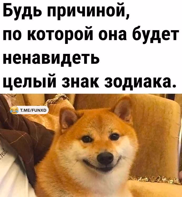 8f06fe3cb2b6e4632902947aab58a878.avif