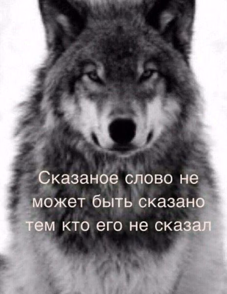 8f1d579744385ff807ca7442efc46250.avif
