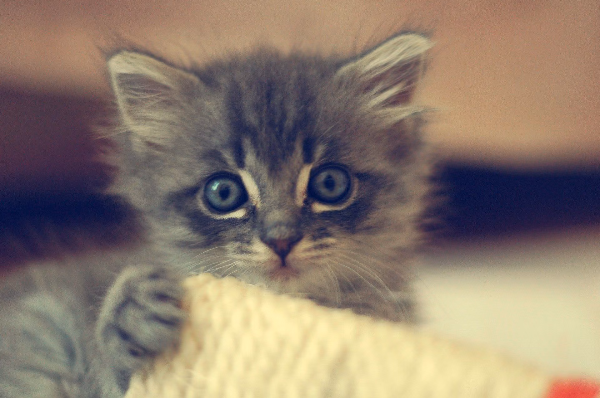 1dd2cbb54bdc3ee0997dc4d9a30d21bc.jpg