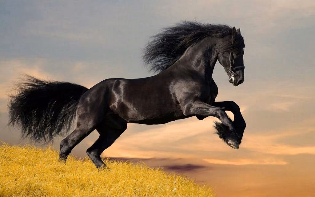 8f3a778fd05e5dd139a9847e98ccc541.jpg