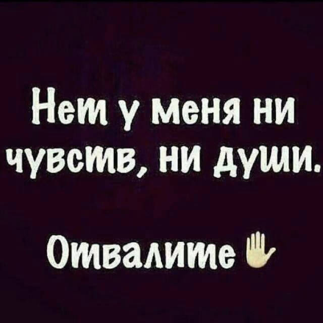 8f3b37df3e85afa32f5a56d60d5adab7.jpg