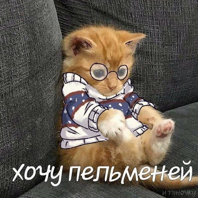 8f646085c832c66cf49f9fc537c09fa8.jpg