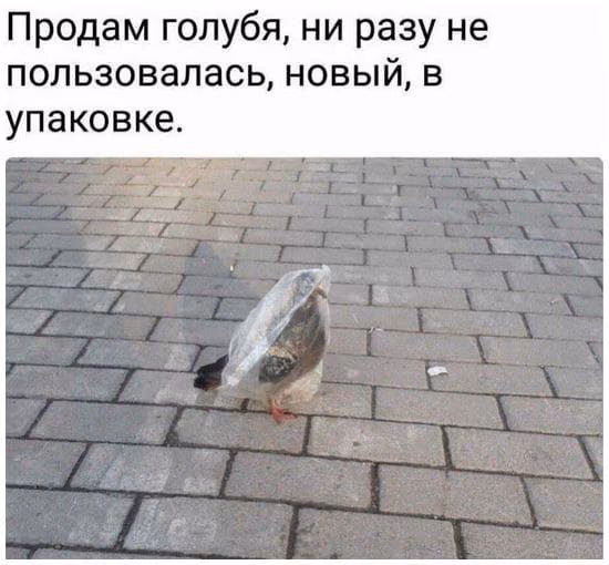8f79c16ec3a36540ad1d874be807564f.jpg
