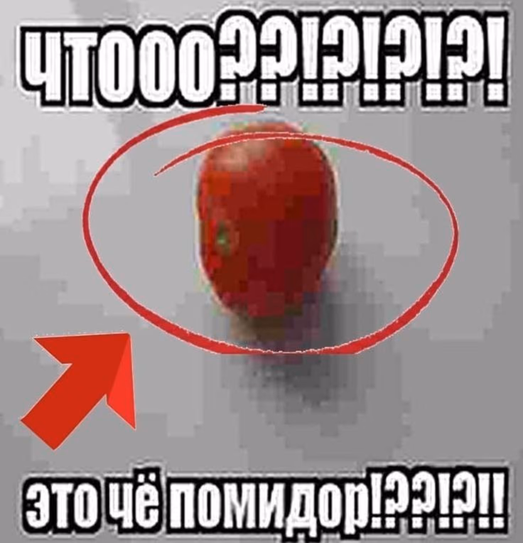 8f8f2e617a8f4767382b977edc52608a.jpg