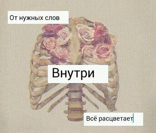 34722bd47c1072c6b3a277ab302022d0.jpg