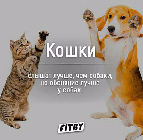 8fa631502abe4c84cd25f5246b3896a2.jpg