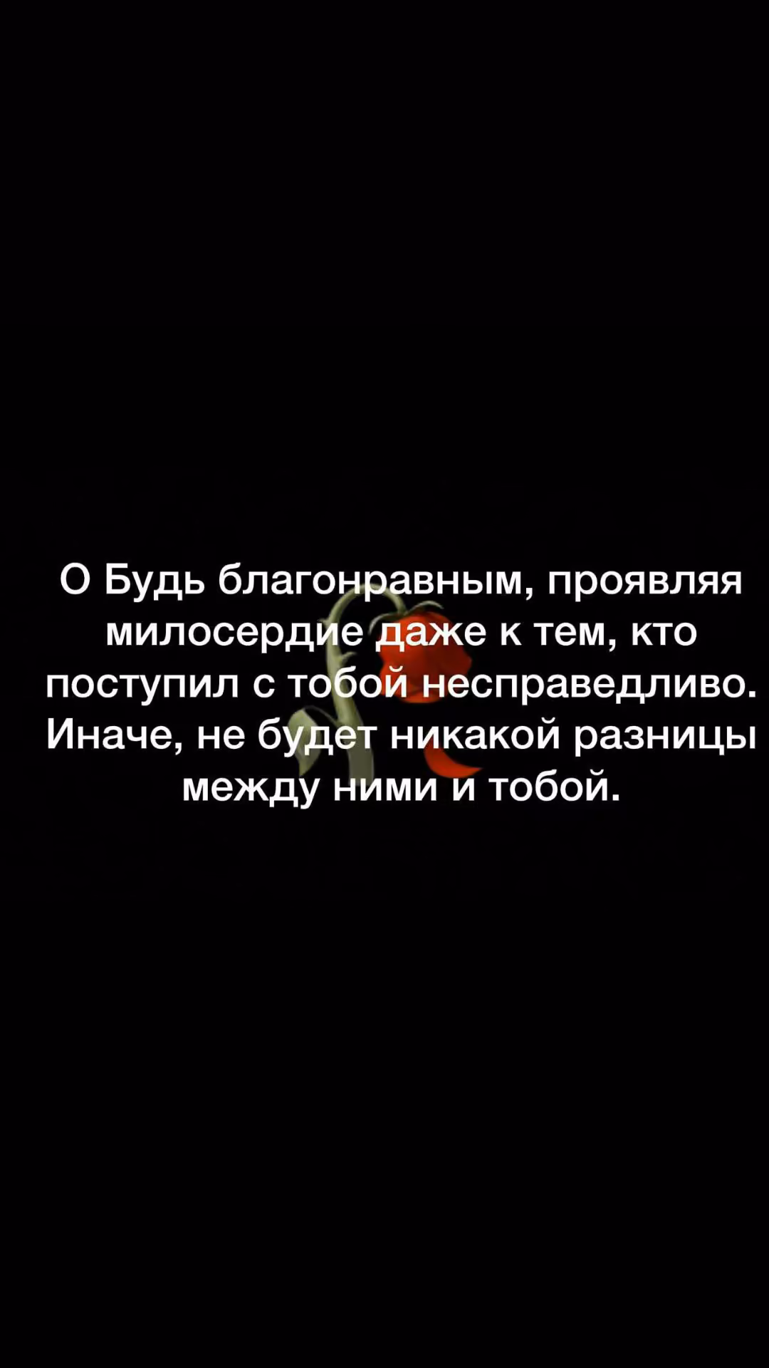 8fa778e67582a582fef6af8e09fb27b9.jpg