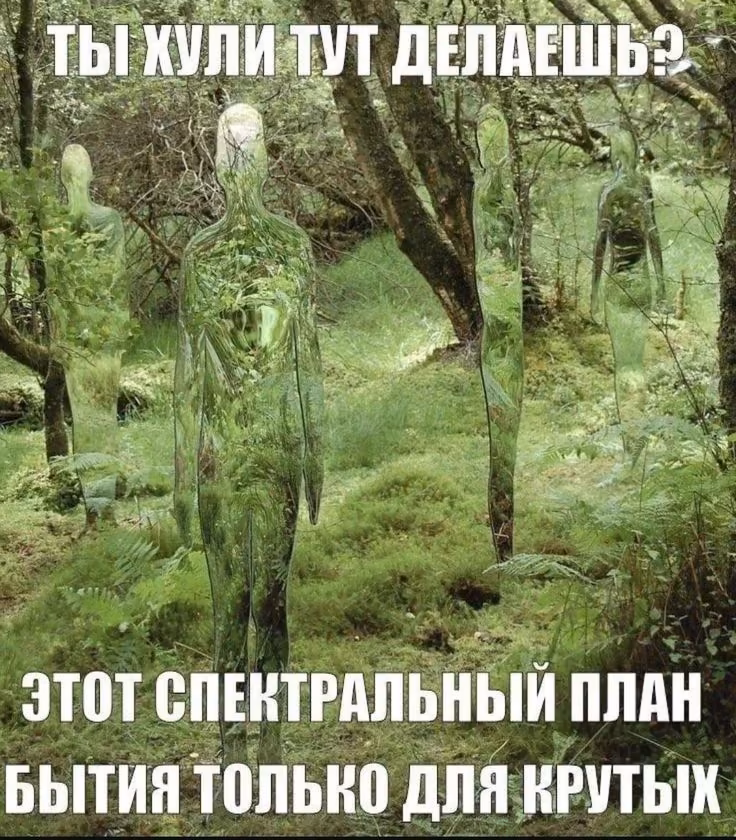 8fcb57b75653c8cddba33f5574cfccf9.avif