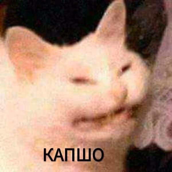 8fe10a2d386729db70d0d699ce5cf942.jpg