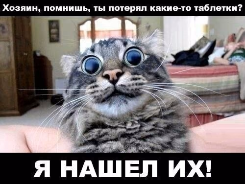 8ffa31c7d6225a5ccf2a2759e5980cc4.avif