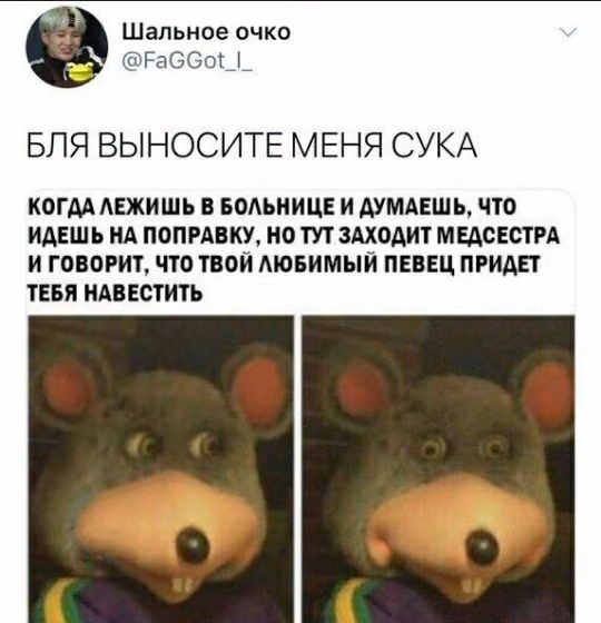 8ffd8ce6a77388b27eb4af2461a26531.avif