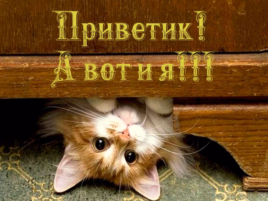 903b7de218a8c8e4835f3ecf74f7bb9d.jpg
