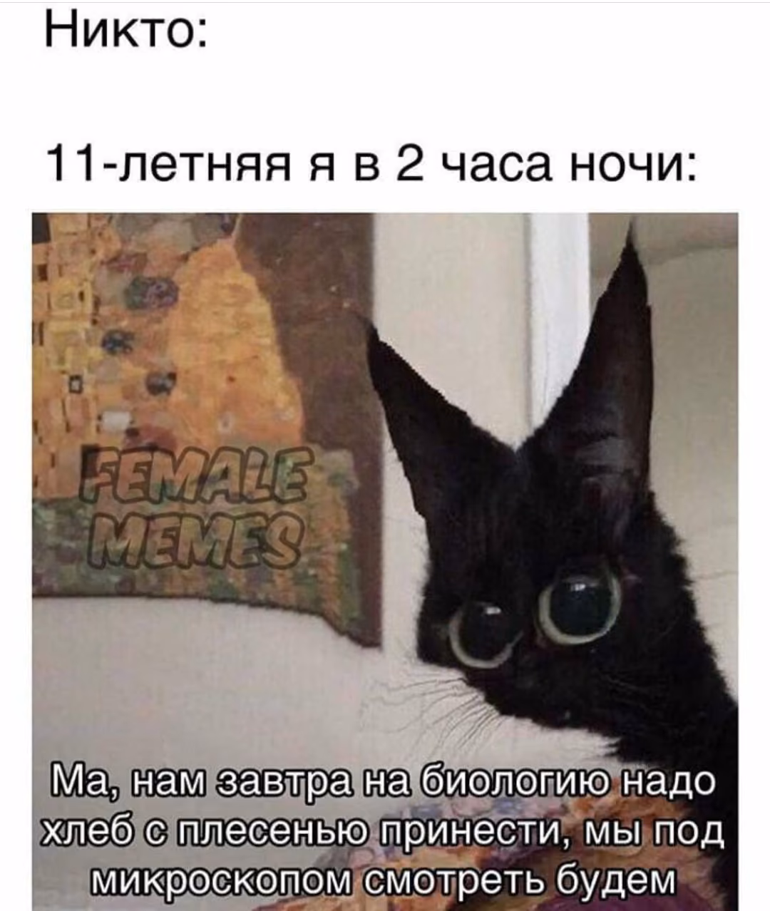 903db8dca80f6cbaac42f34d890277a6.jpg