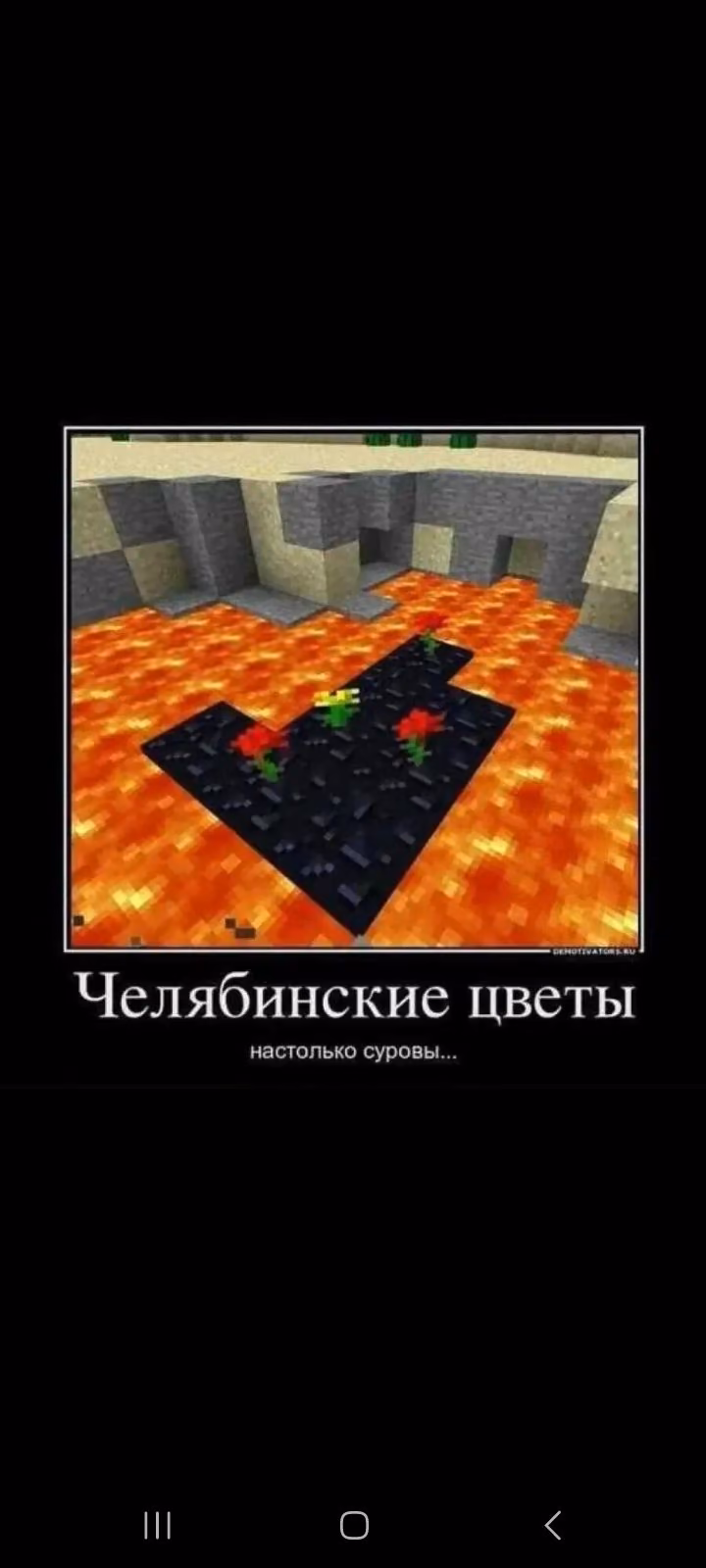 904ce27b7066eabf0155bcbce35dde36.jpg