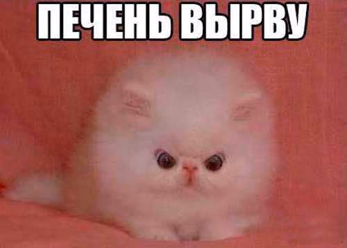 9055bc1188c6385bb47265acbadd231b.jpg
