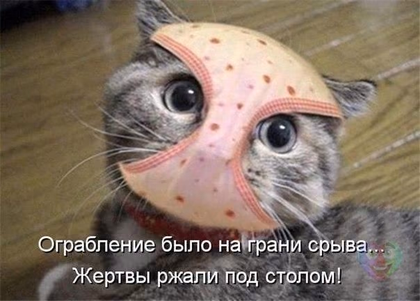 90587aff6f3ce87a62e46660b90efb36.avif