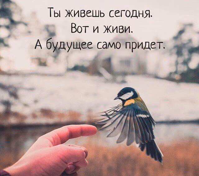 90618c99da8b6512974aeb7dd4f7b392.jpg
