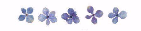 cecf521991fb6bbc22273f11a9a5a1cb.jpg