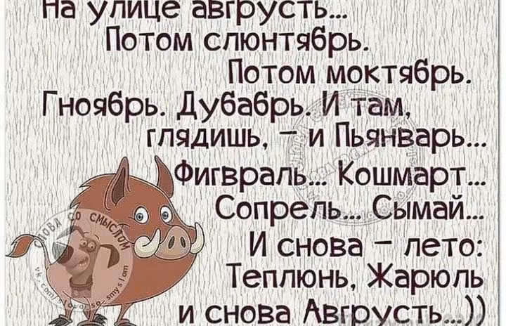 90899f5bebfb3eb1a71d2de531596704.avif