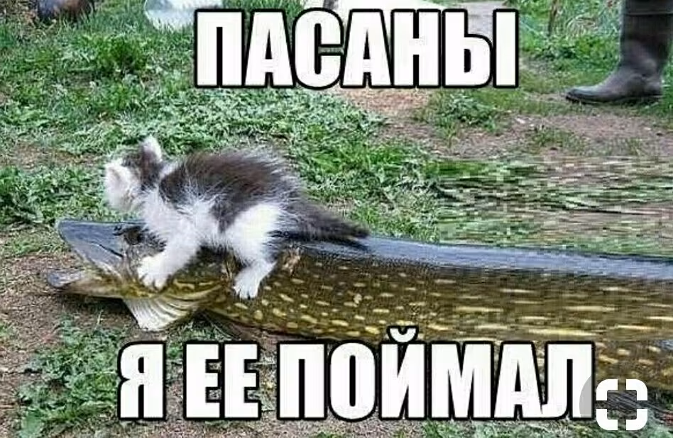 90bd1f419e0474b529858c0d2fa94638.jpg