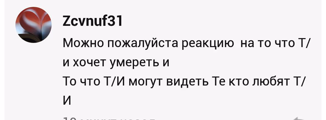 90d275101ddd9911983507a75048818e.avif