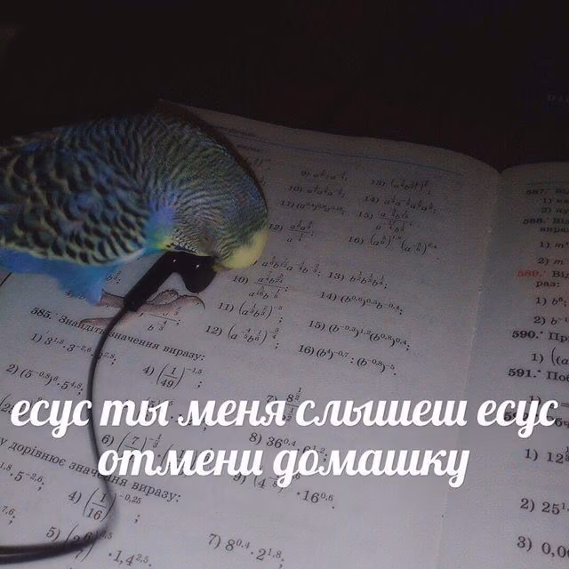 90dc47f975577f1fb160660eb636aa06.jpg