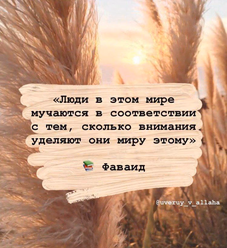 90eda56136975c1ea9dadd5f68a2aa79.jpg