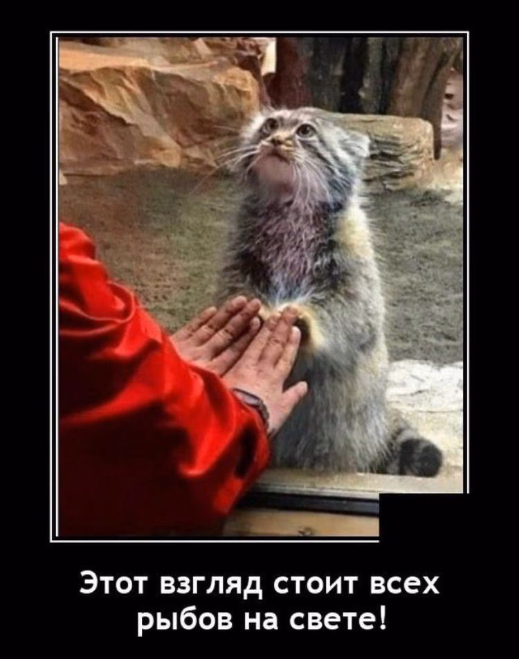 9102eeb1d70e1686d9dd5aa2729c64ad.jpg