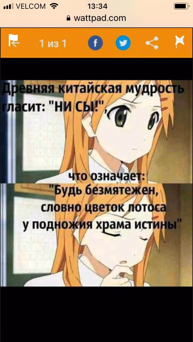 91161a9ed905863381e43d3ea3f089c1.avif