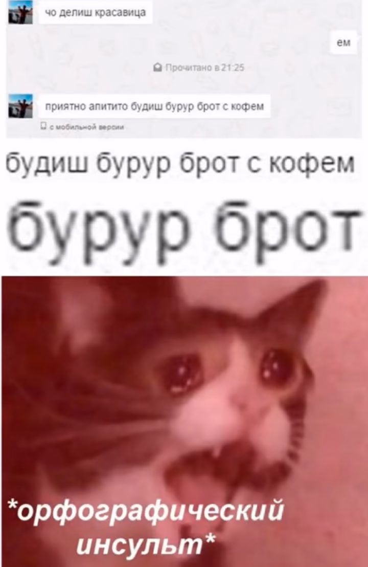911774000e6c15020935895fbf15b335.avif