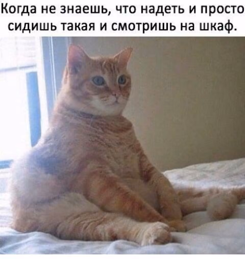 9119b89325d44988189ac1ec8715f47a.jpg