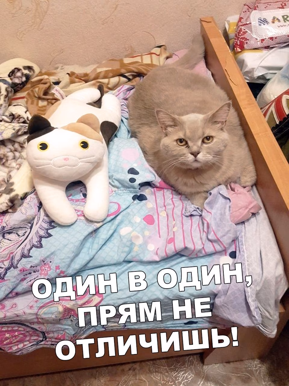 9121f314befc12f6a6d8071794324e4b.jpg